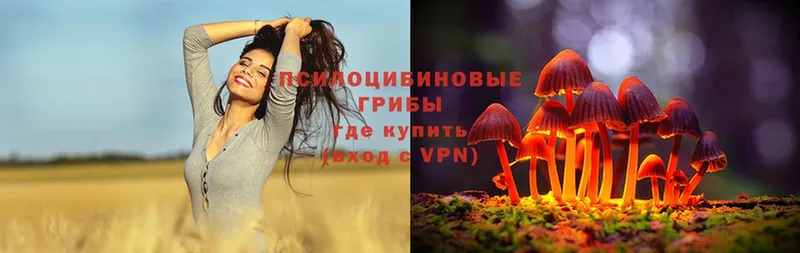 Галлюциногенные грибы MAGIC MUSHROOMS  Нестеров 